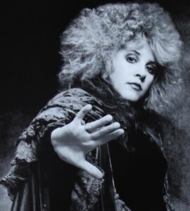 Stevie Nicks image