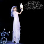 Stevie Nicks