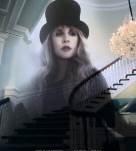 Stevie Nicks In Your Dreams