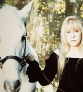 Stevie Nicks