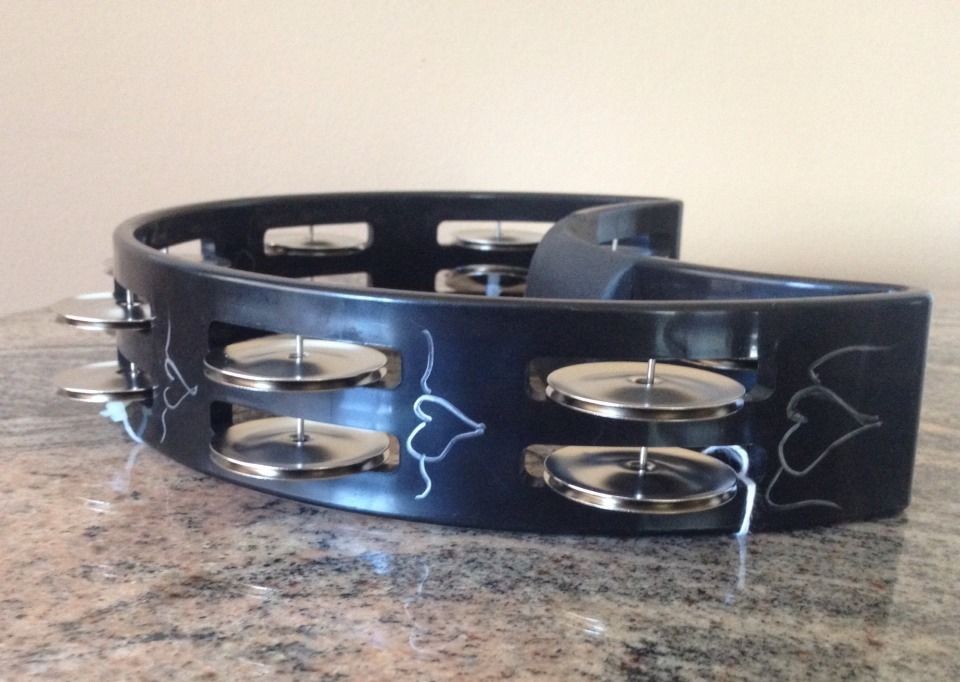 Bid on Stevie Nicks-autographed tambourine for animal rescue fund