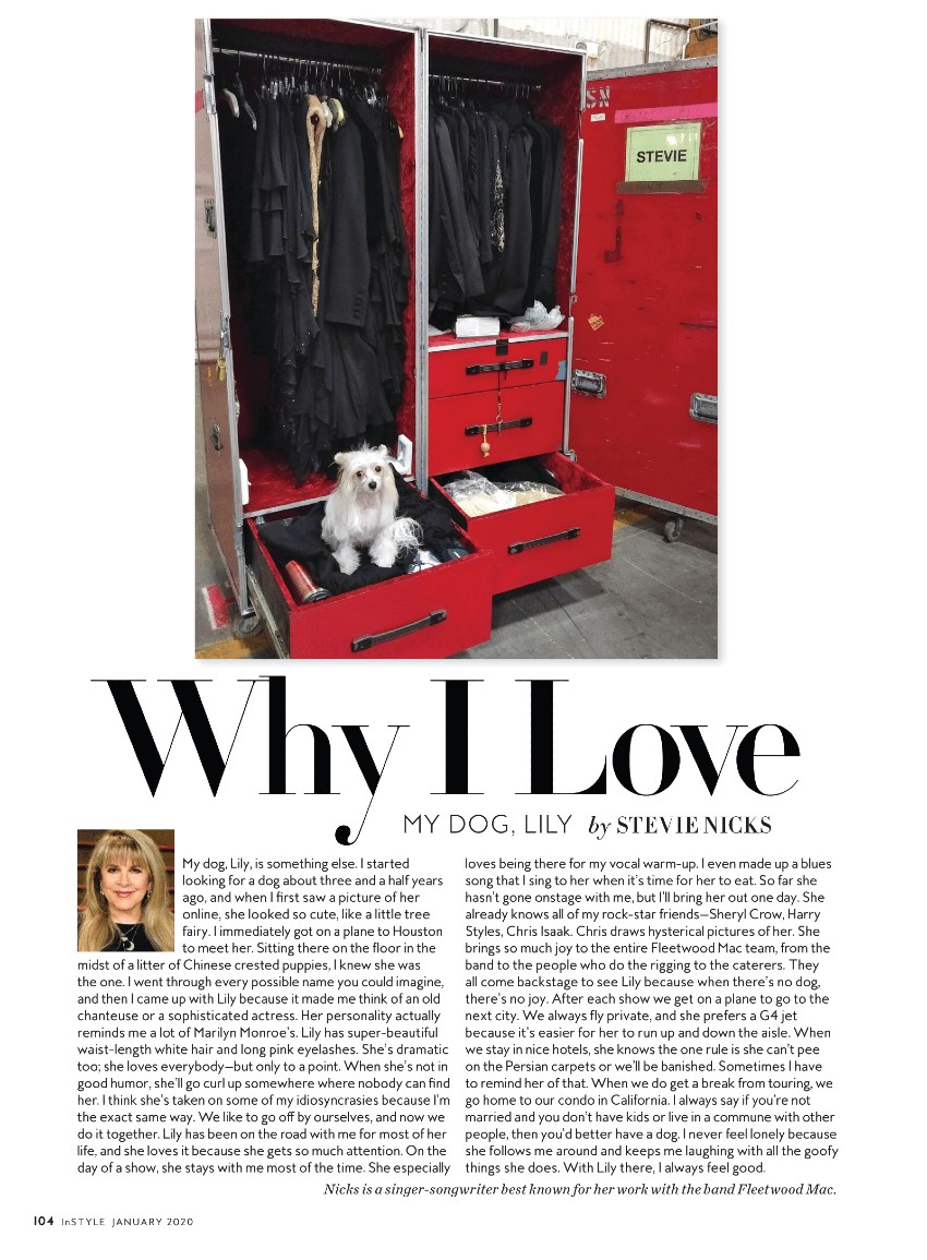 Why I Love My Dog, Lily