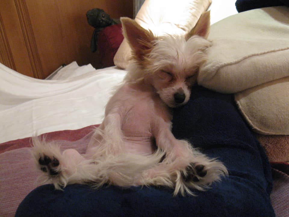 ‘Mama Stevie’ wishes her ‘Little Tree Fairy’ a Happy 4th Birthday