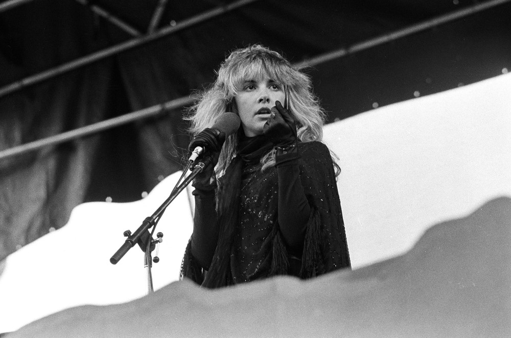Stevie Nicks