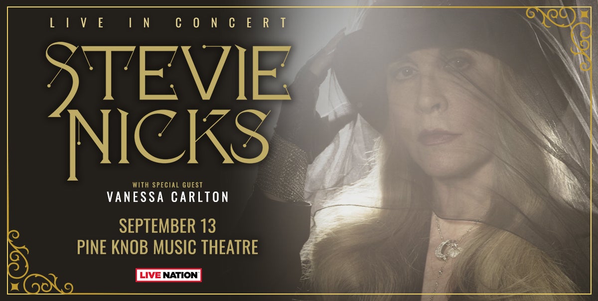 Stevie Nicks banner