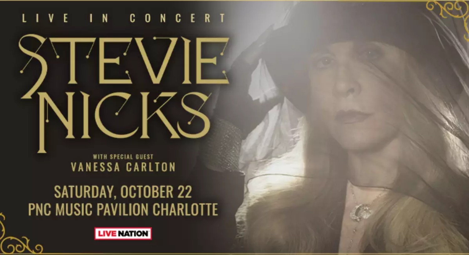 Stevie Nicks banner