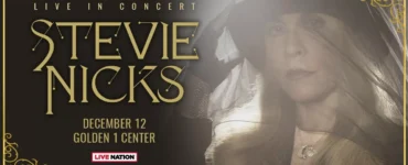 Stevie Nicks banner