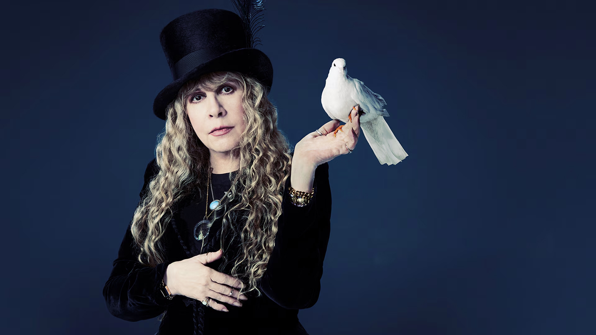 STEVIE NICKS ROCKS SNL